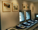 expo 2002-PYG