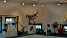 expo2005