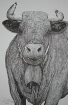 Bagheera (Balavaud)